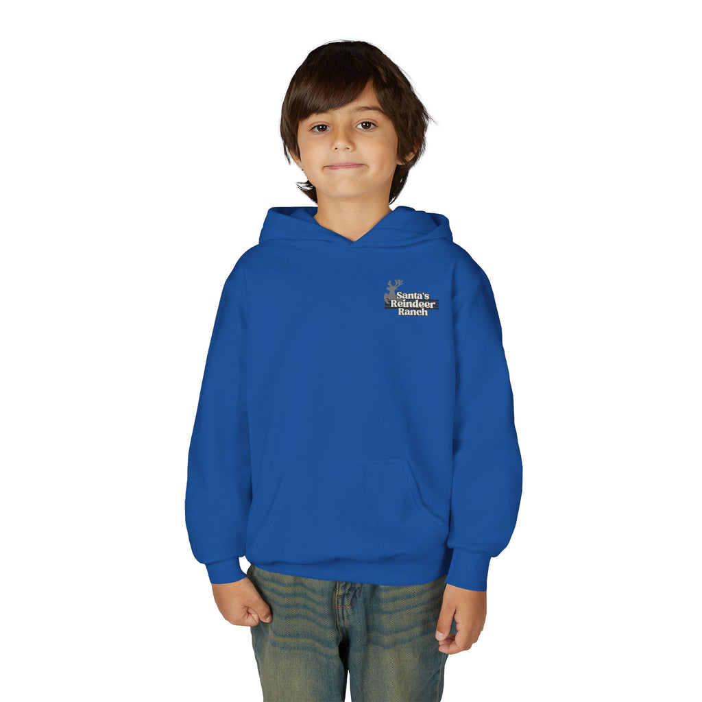 Youth Heavy Blend Comet's Crew Supporter Hoodie