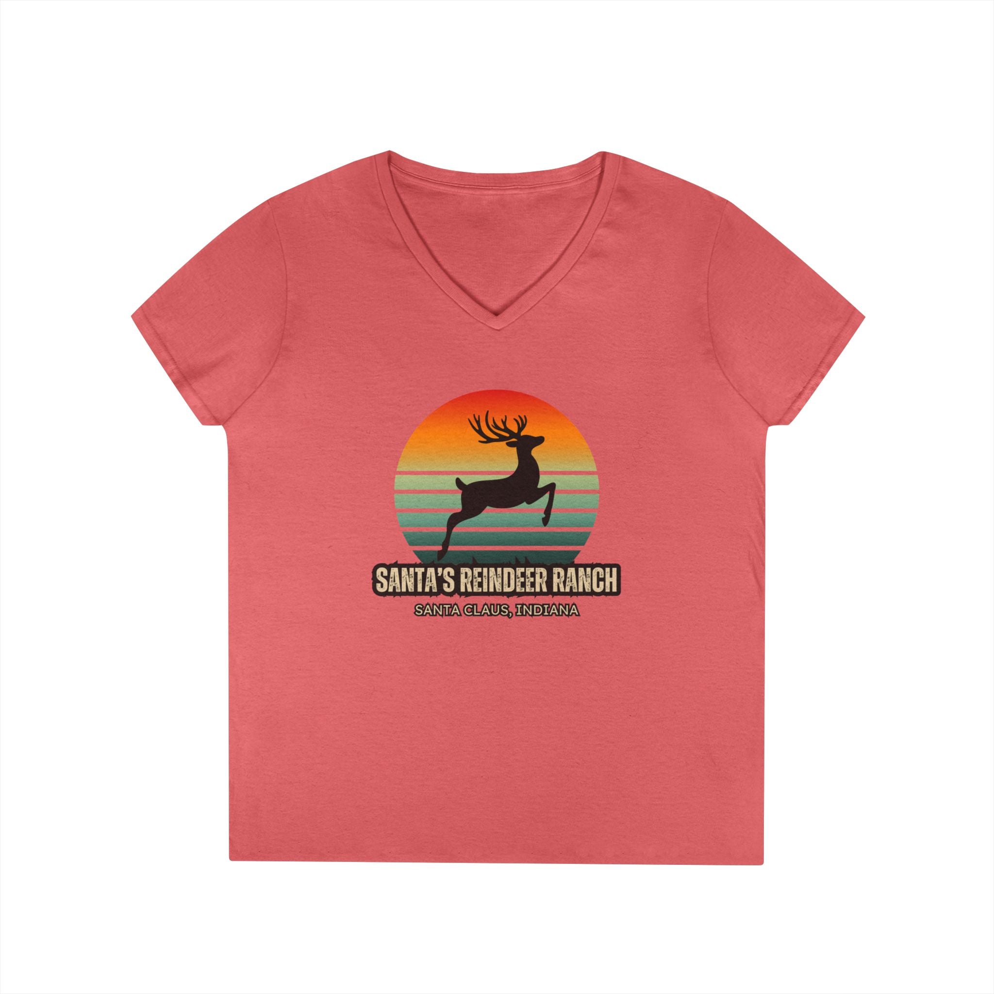 Ladies' V-Neck T-Shirt