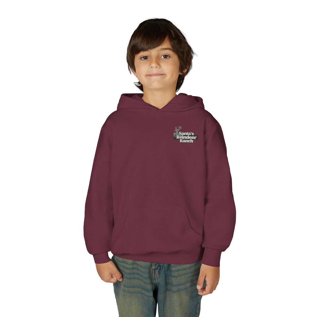 Youth Heavy Blend Comet's Crew Supporter Hoodie